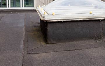 disadvantages of Two Mills flat roofs