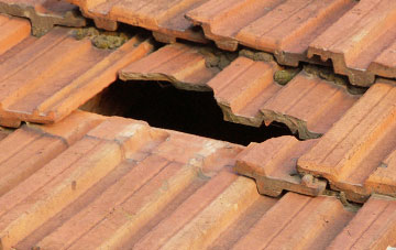 roof repair Two Mills, Cheshire